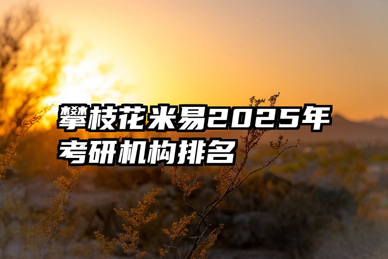 攀枝花米易2025年考研机构排名