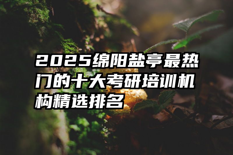 2025绵阳盐亭最热门的十大考研培训机构精选排名