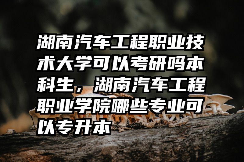 湖南汽车工程职业技术大学可以考研吗本科生，湖南汽车工程职业学院哪些专业可以专升本