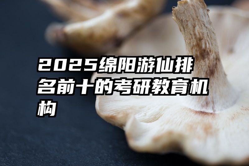 2025绵阳游仙排名前十的考研教育机构