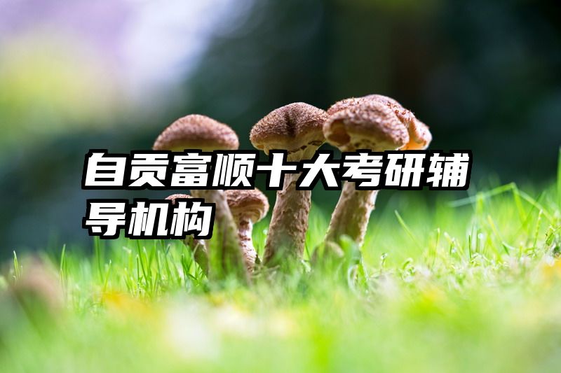 自贡富顺十大考研辅导机构
