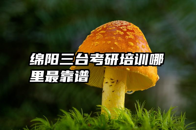 绵阳三台考研培训哪里最靠谱