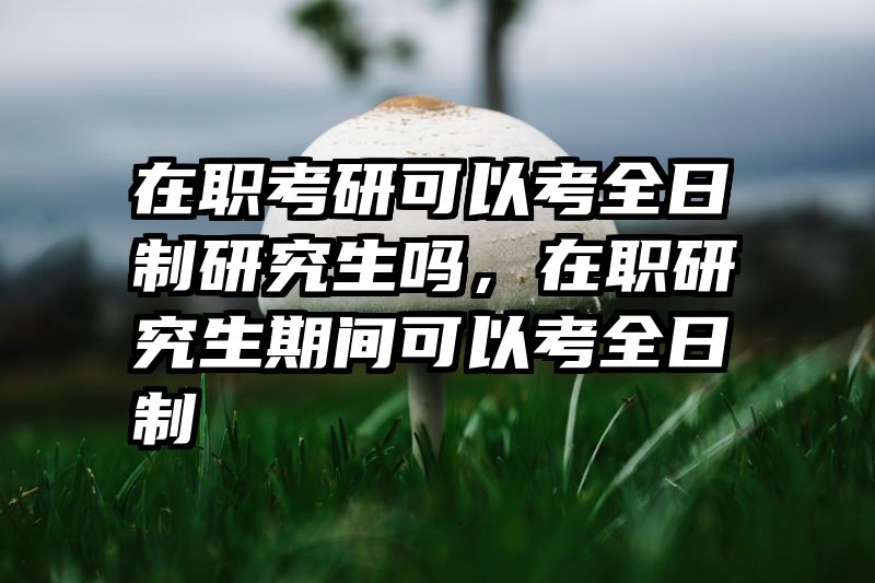 在职考研可以考全日制研究生吗，在职研究生期间可以考全日制