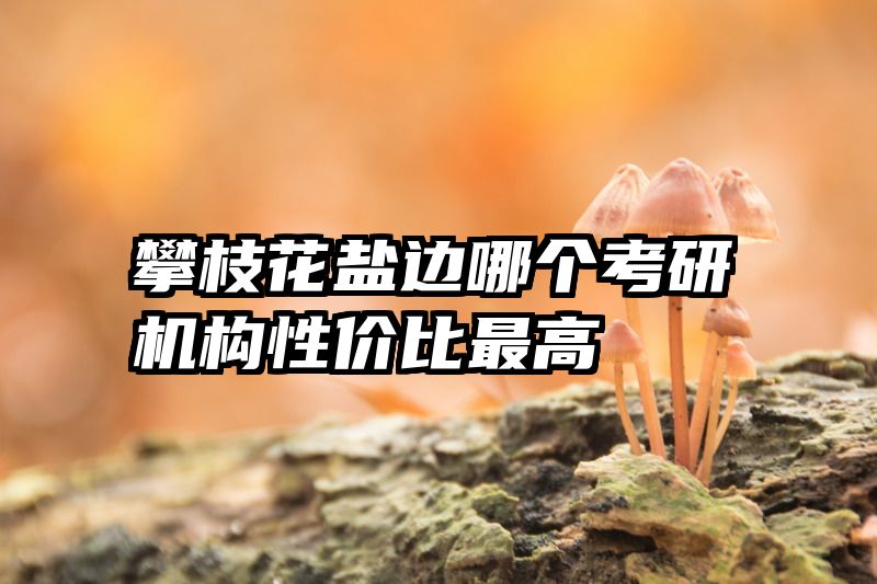 攀枝花盐边哪个考研机构性价比最高