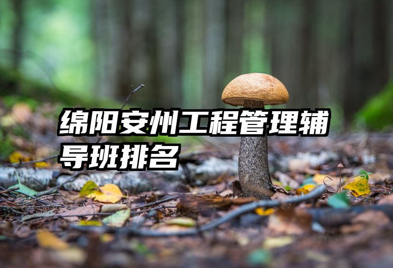 绵阳安州工程管理辅导班排名