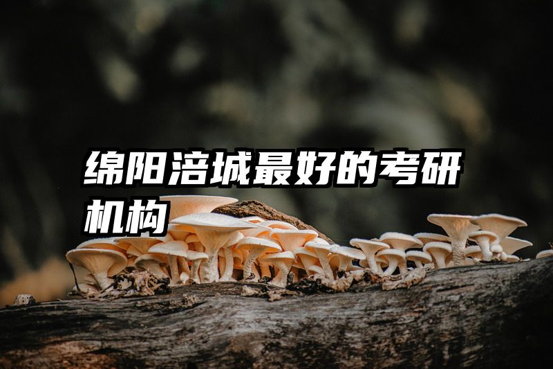 绵阳涪城最好的考研机构