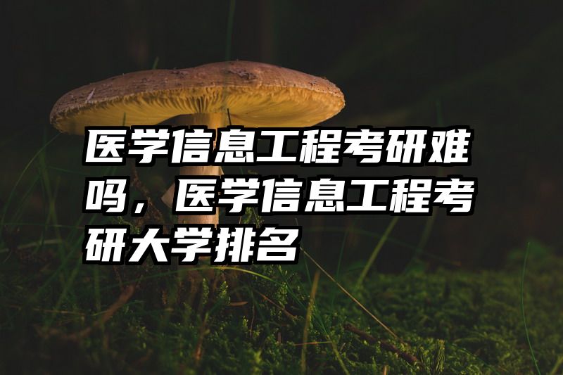 医学信息工程考研难吗，医学信息工程考研大学排名