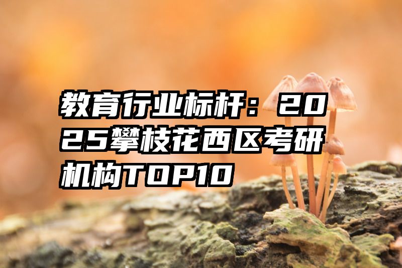 教育行业标杆：2025攀枝花西区考研机构TOP10