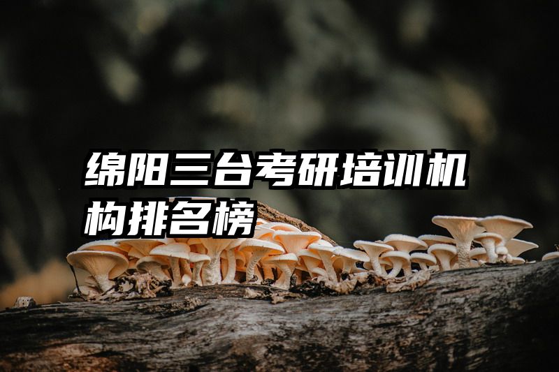 绵阳三台考研培训机构排名榜