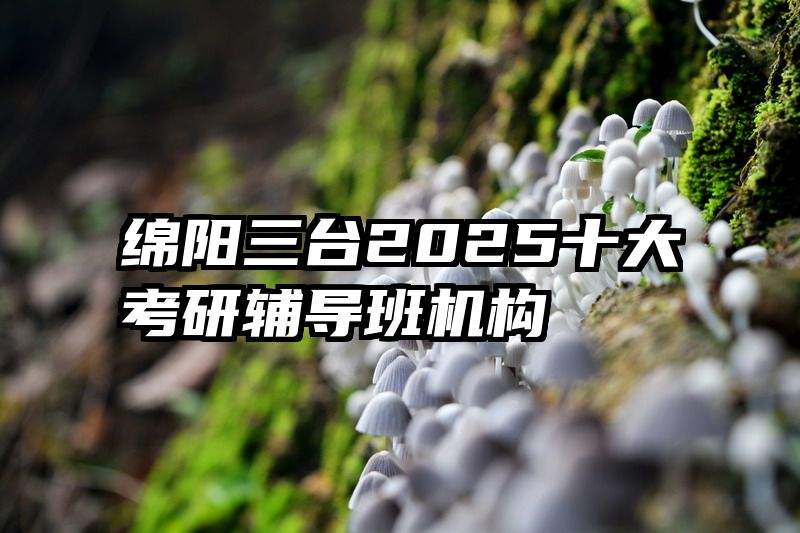 绵阳三台2025十大考研辅导班机构