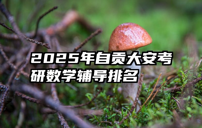 2025年自贡大安考研数学辅导排名