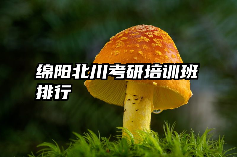 绵阳北川考研培训班排行