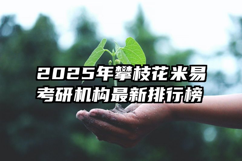 2025年攀枝花米易考研机构最新排行榜
