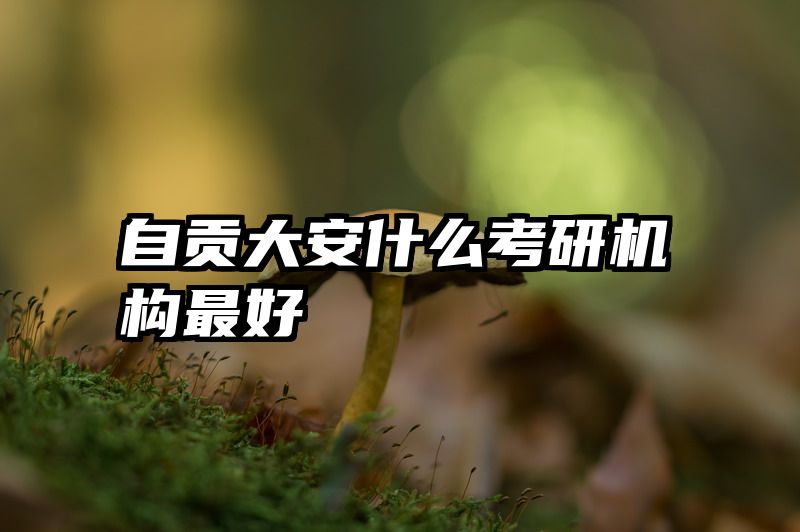 自贡大安什么考研机构最好