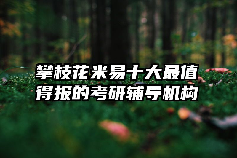 攀枝花米易十大最值得报的考研辅导机构