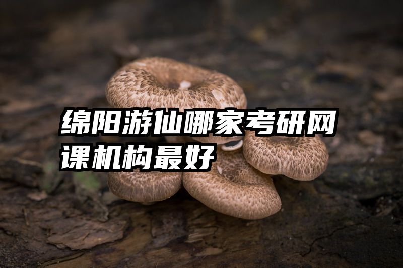 绵阳游仙哪家考研网课机构最好