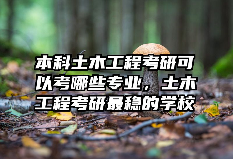 本科土木工程考研可以考哪些专业，土木工程考研最稳的学校