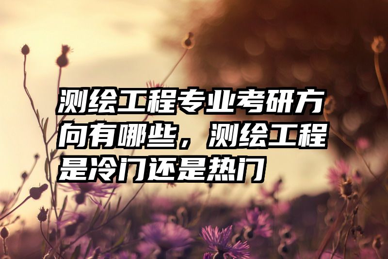 测绘工程专业考研方向有哪些，测绘工程是冷门还是热门