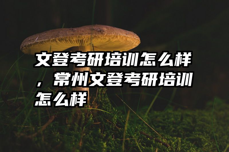 文登考研培训怎么样，常州文登考研培训怎么样