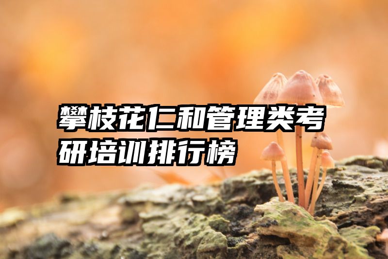 攀枝花仁和管理类考研培训排行榜