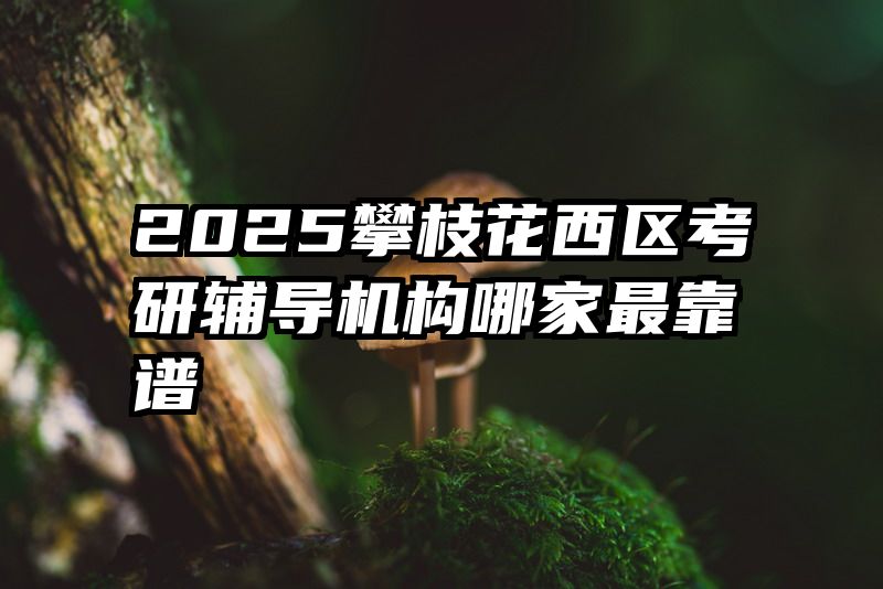 2025攀枝花西区考研辅导机构哪家最靠谱