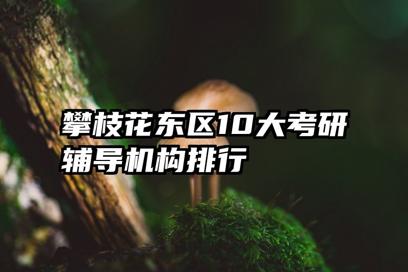 攀枝花东区10大考研辅导机构排行