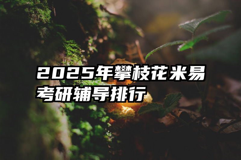 2025年攀枝花米易考研辅导排行