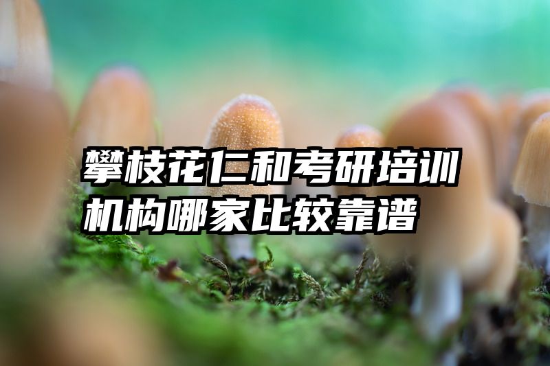 攀枝花仁和考研培训机构哪家比较靠谱