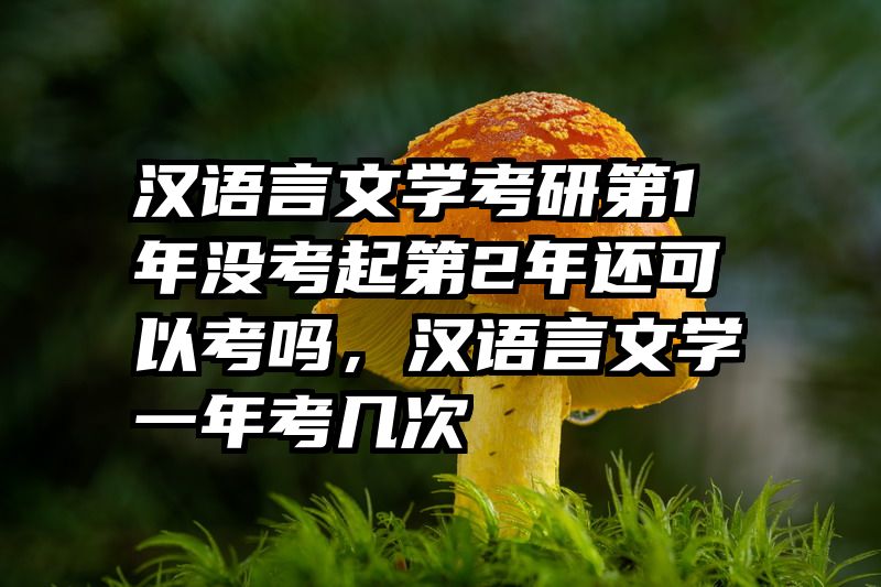 汉语言文学考研第1年没考起第2年还可以考吗，汉语言文学一年考几次