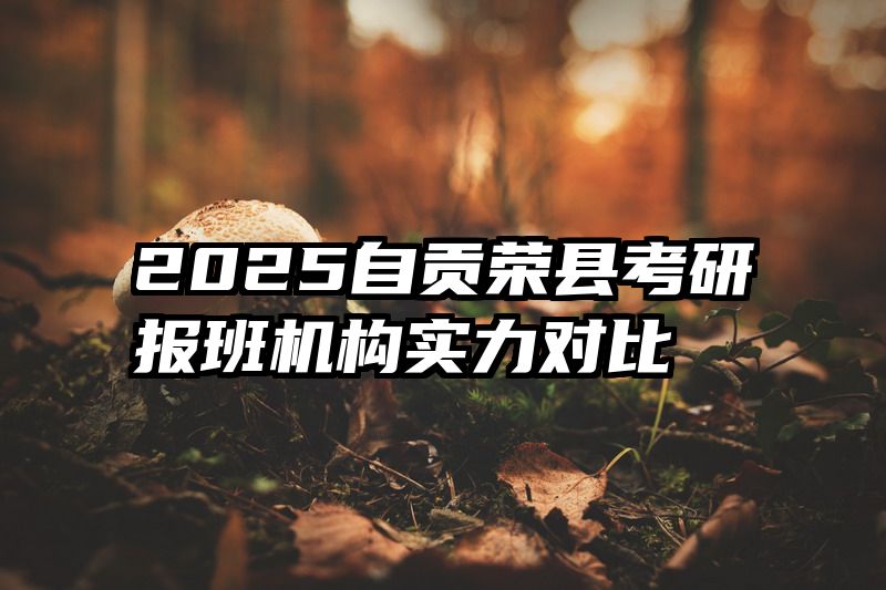 2025自贡荣县考研报班机构实力对比
