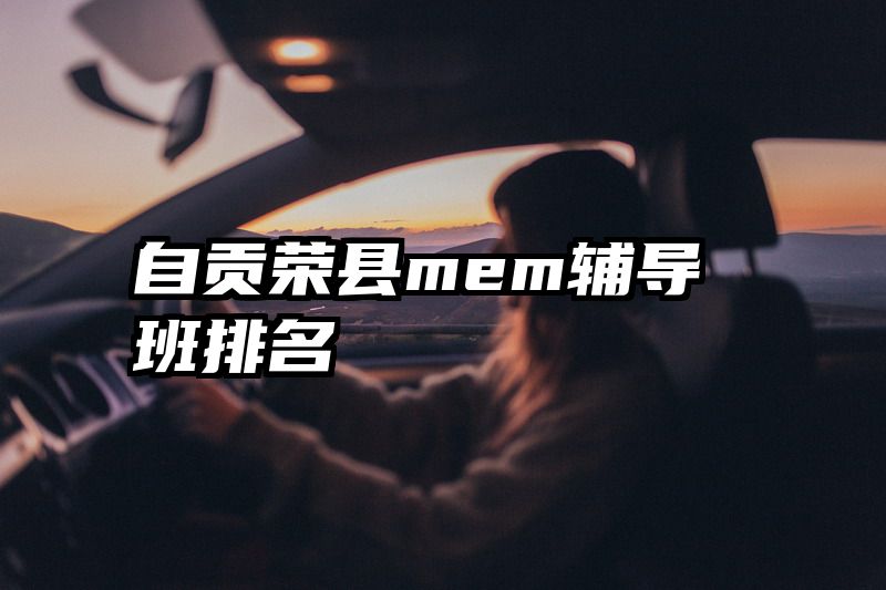 自贡荣县mem辅导班排名