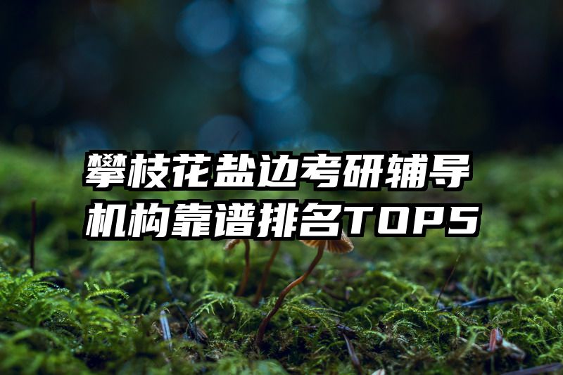 攀枝花盐边考研辅导机构靠谱排名TOP5