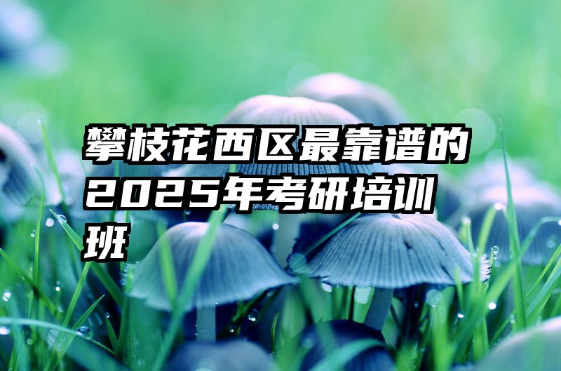 攀枝花西区最靠谱的2025年考研培训班