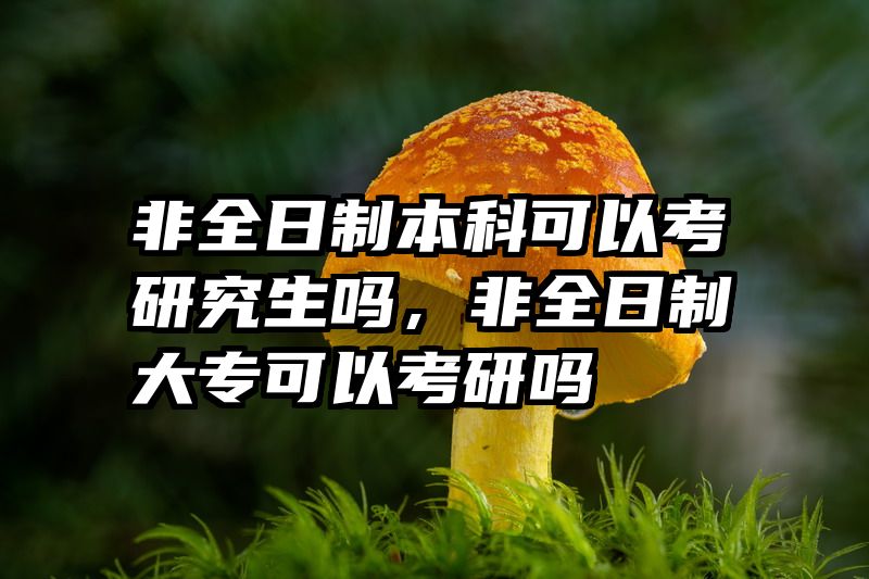 非全日制本科可以考研究生吗，非全日制大专可以考研吗