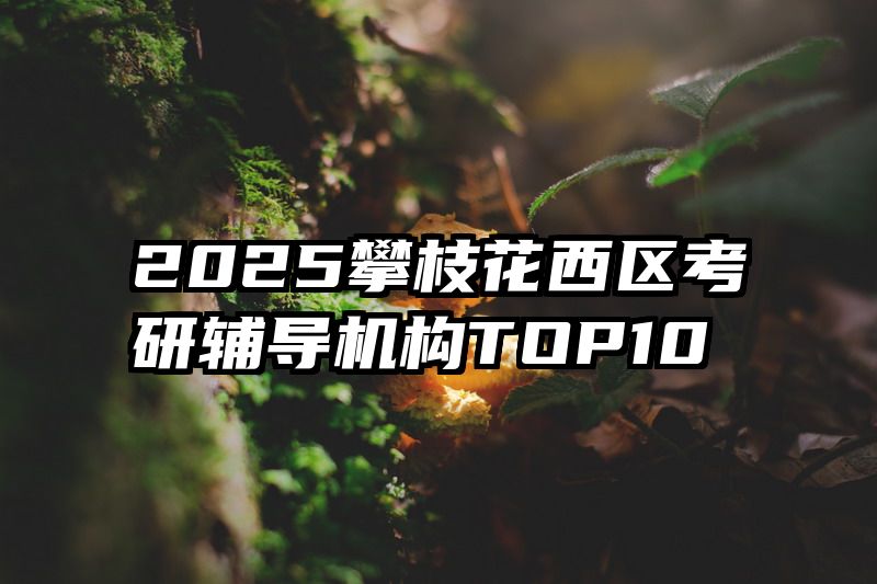 2025攀枝花西区考研辅导机构TOP10