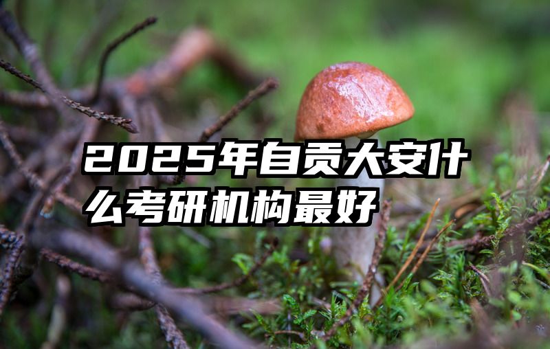 2025年自贡大安什么考研机构最好