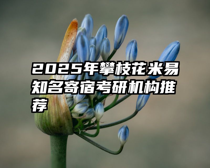 2025年攀枝花米易知名寄宿考研机构推荐