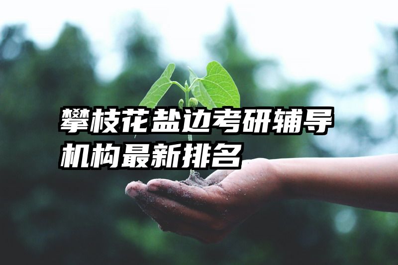 攀枝花盐边考研辅导机构最新排名