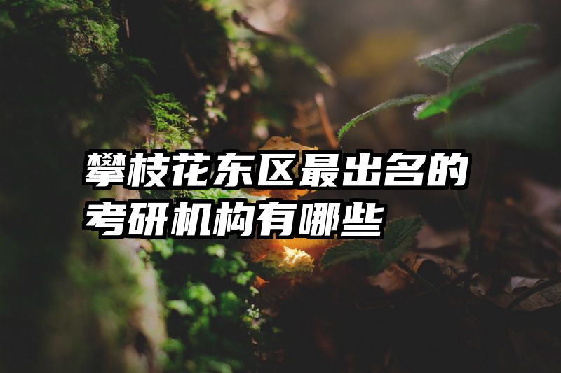 攀枝花东区最出名的考研机构有哪些