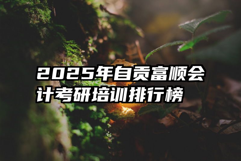 2025年自贡富顺会计考研培训排行榜