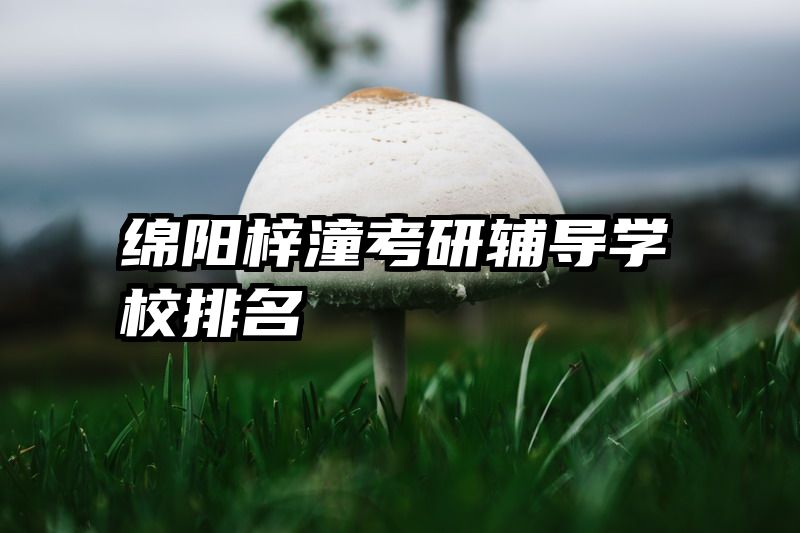 绵阳梓潼考研辅导学校排名