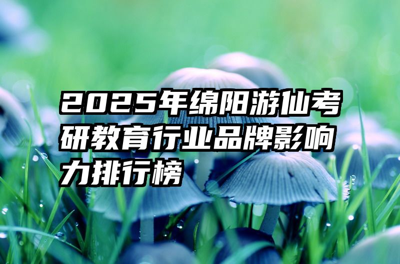 2025年绵阳游仙考研教育行业品牌影响力排行榜