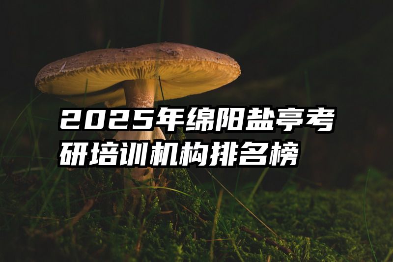 2025年绵阳盐亭考研培训机构排名榜