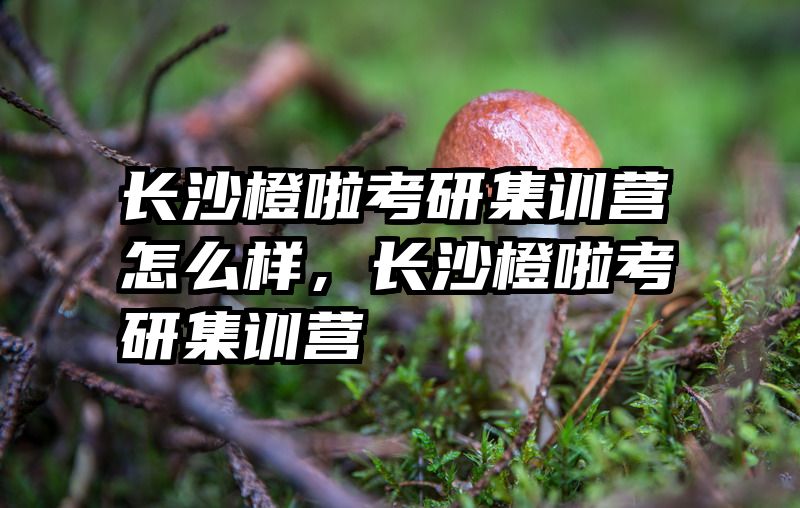 长沙橙啦考研集训营怎么样，长沙橙啦考研集训营