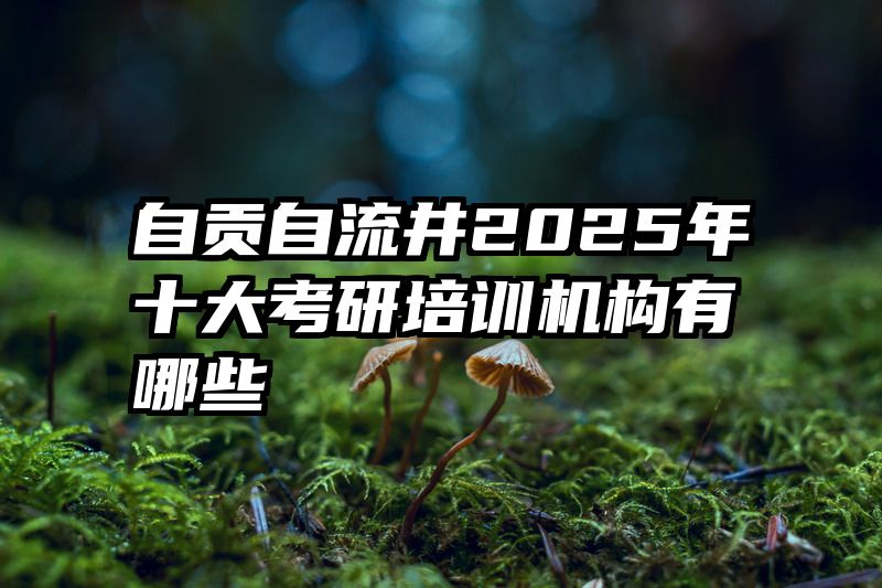 自贡自流井2025年十大考研培训机构有哪些