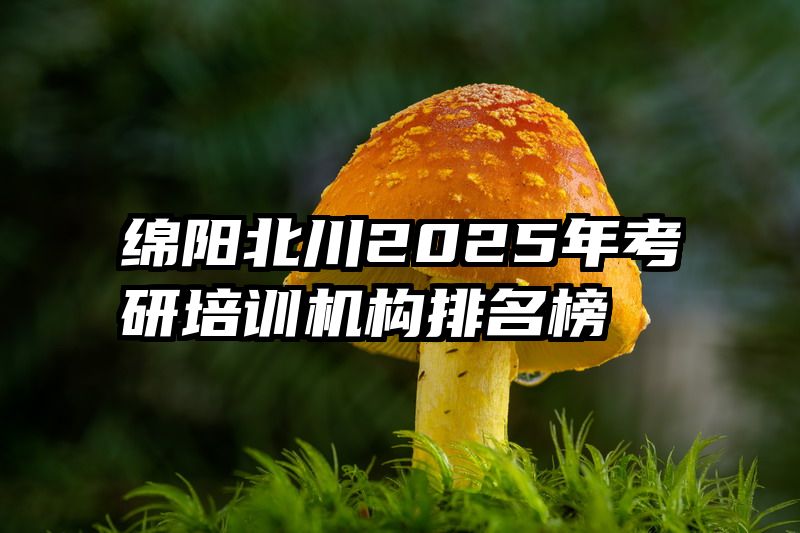 绵阳北川2025年考研培训机构排名榜