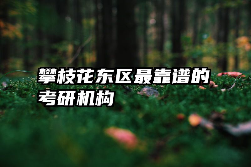 攀枝花东区最靠谱的考研机构