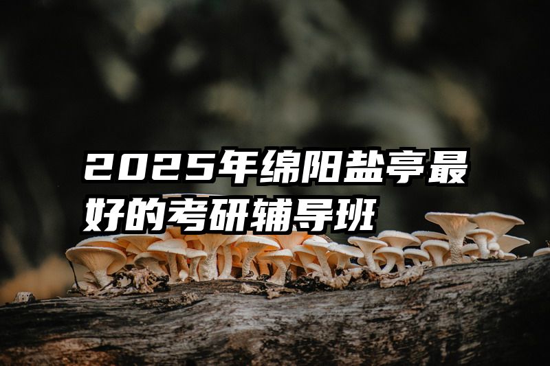 2025年绵阳盐亭最好的考研辅导班