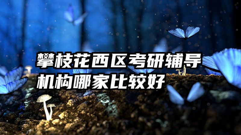 攀枝花西区考研辅导机构哪家比较好