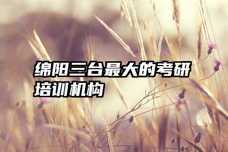 绵阳三台最大的考研培训机构